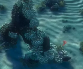 Finding Nemo 