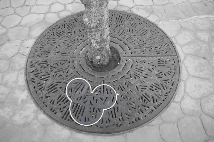 Detail
